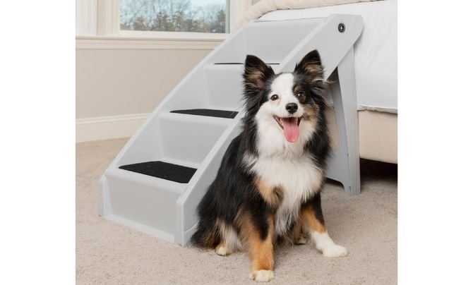 PetSafe CozyUp Folding Dog Stairs