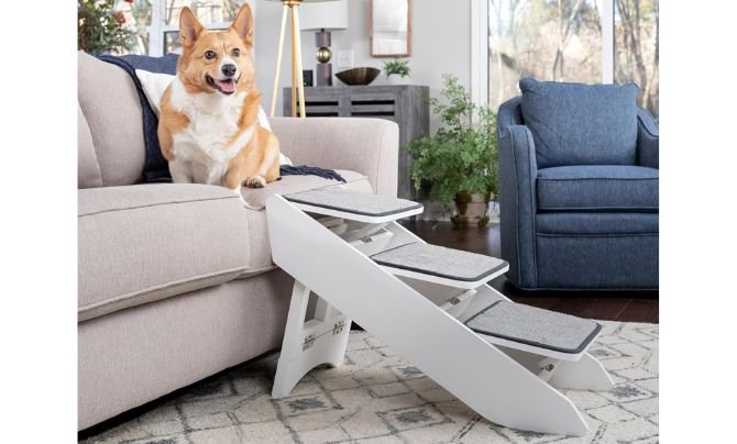 PetSafe CozyUp Folding Stairs & Ramp Combo Review