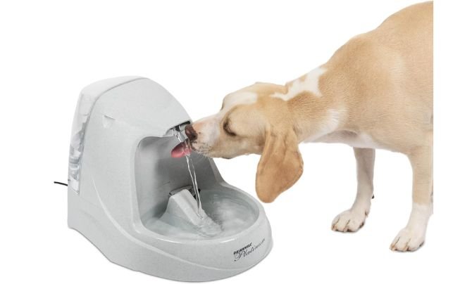 PetSafe Drinkwell Platinum Dog and Cat Water Fountain