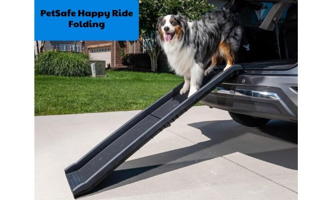 PetSafe Happy Ride Folding Pet Ramp Review