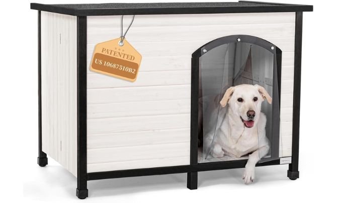 Petsfit Folding Large Dog House Review