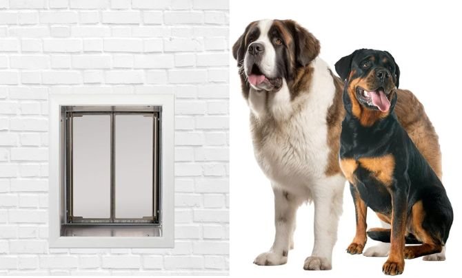 PlexiDor Performance Pet Doors
