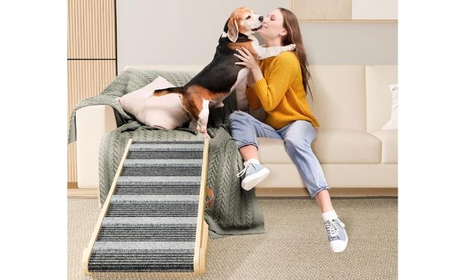 REONEY 2026 Upgraded Dog Ramp Review