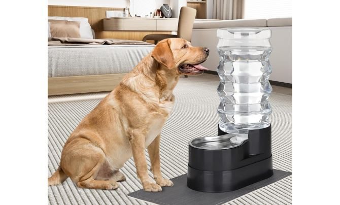 RIZZARI Large Water Dispenser for Dogs