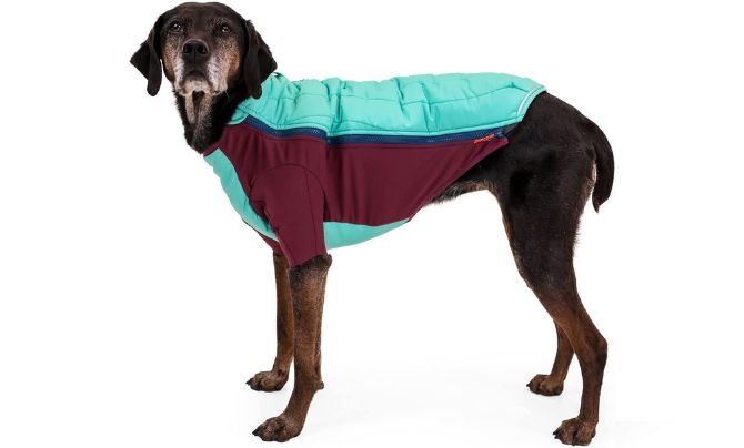 Ruffwear Powder Hound Jacket Review