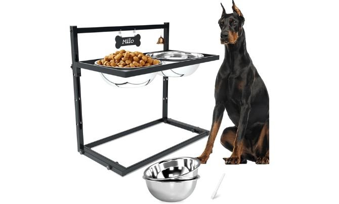 SHAINFUN Elevated Dog Feeder