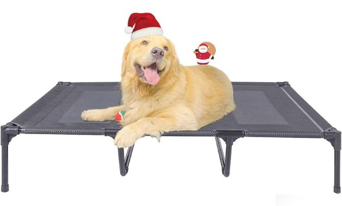 Suddus Elevated Dog Bed Review