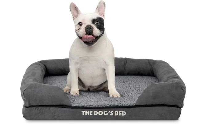 The Dog’s Bed Orthopedic (Small, plush top)