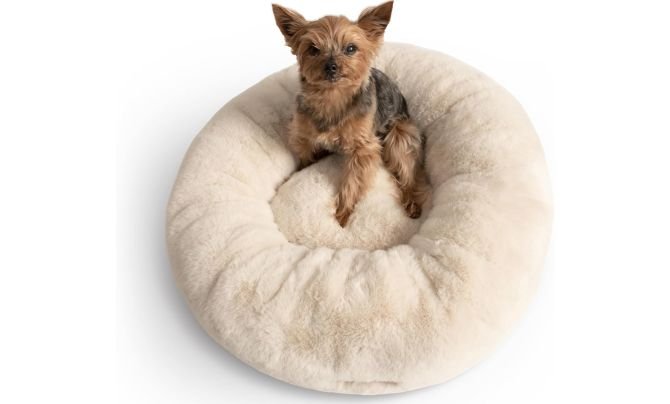 UnHide Floof Pet Bed