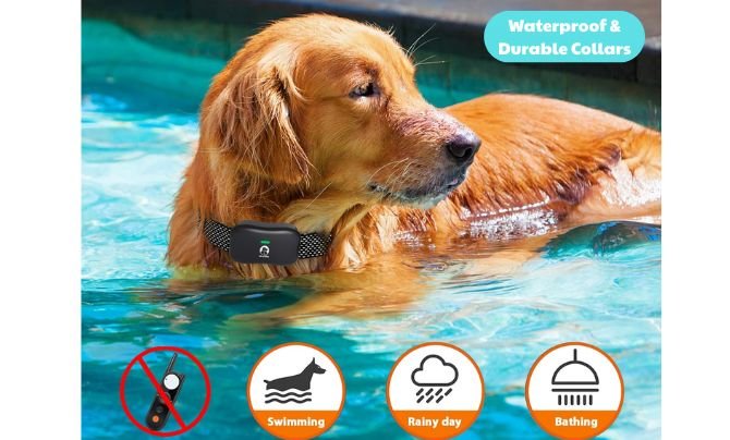 Wireless Dog Fence Waterproof and Durable Collars