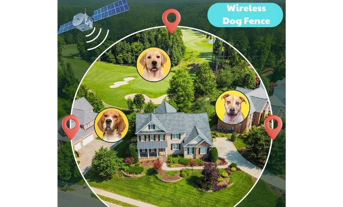 Wireless Dog Fence