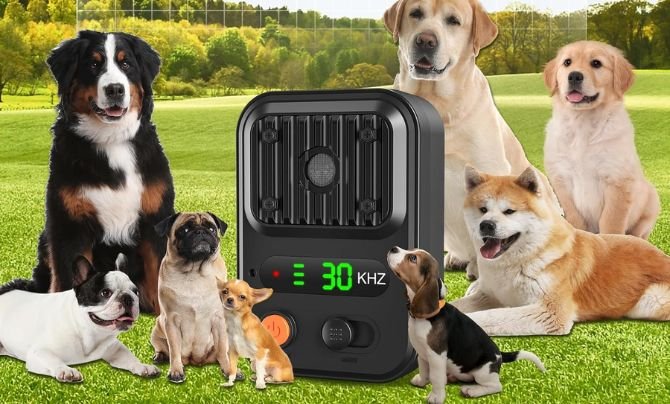 YEOWWW! Anti Barking Device Review