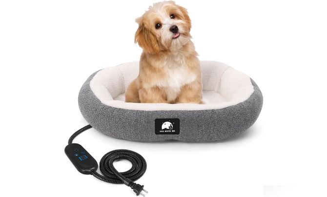 ZNOFAN Heated Cat Bed Review