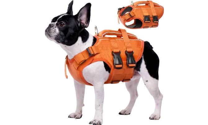 Kuoser Dog Life Jacket