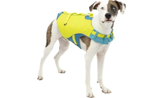 Kurgo Surf n’ Turf Dog Life Jacket