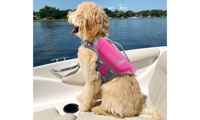VIVAGLORY High Buoyancy Dog Life Vest