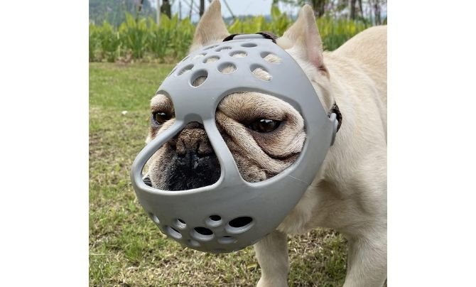 BARKLESS Short Snout Dog Muzzle Review