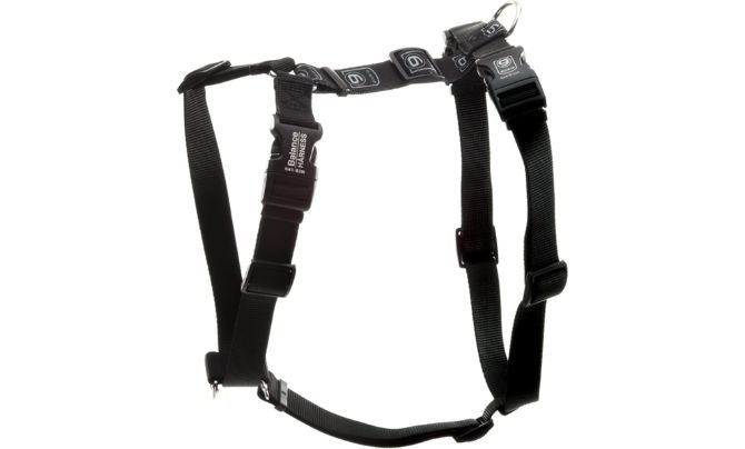Blue-9 Buckle-Neck Balance Harness