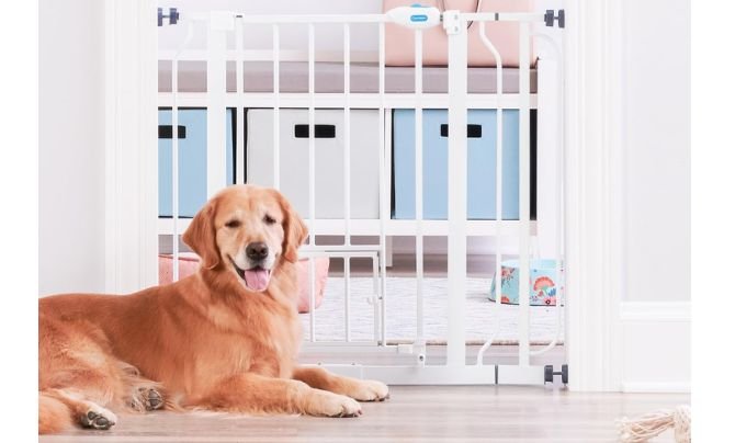Carlson Extra Wide Walk Through Pet Gate