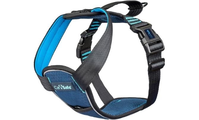Company of Animals CarSafe Crash Tested Dog Safety Harness Review