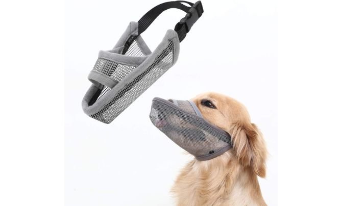 CrazyFelix Nylon Dog Muzzle Review