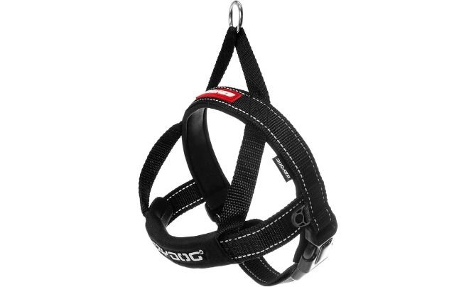 EzyDog Quick Fit Dog Harness Review (2026 Update)