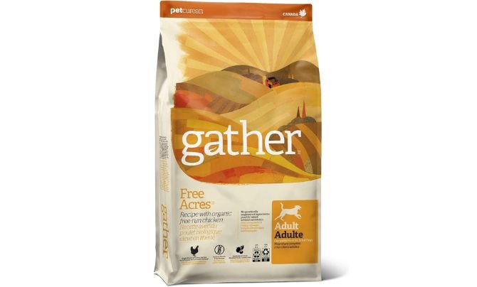GATHER Free Acres Organic Dog Food Review