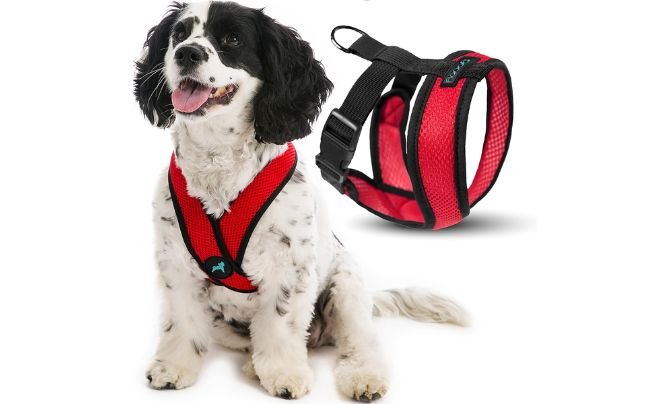 Gooby Comfort X Harness