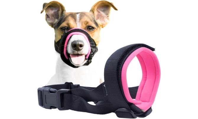 GoodBoy Gentle Muzzle Guard Review (2026 Update) – Best Comfortable Dog Muzzle with Neoprene Padding