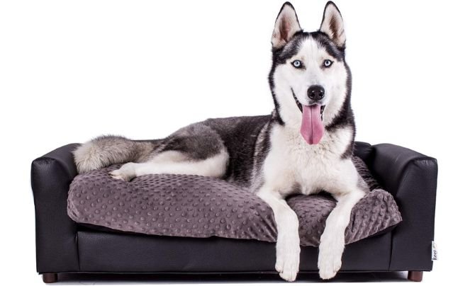 Leather Dog Beds - Keet Fluffy Deluxe Pet Bed, Charcoal, Large