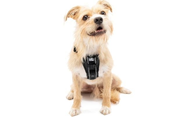 Kurgo Tru-Fit Dog Harness