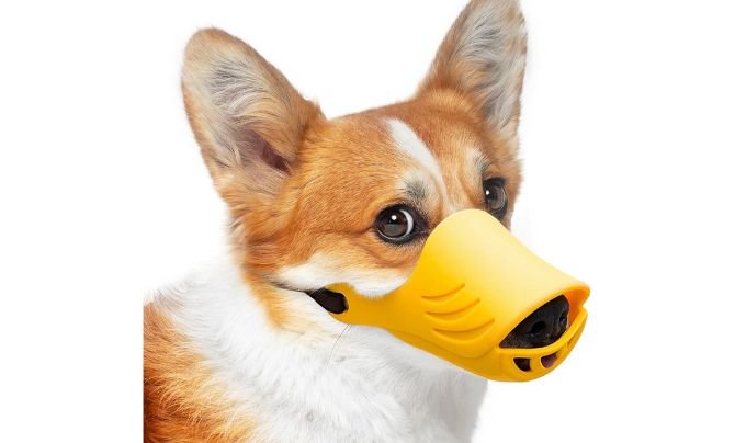 LUCKYPAW Dog Muzzle Review (2026 Update) – Cute & Practical Duck-Shaped Muzzle for Small to Medium Dogs