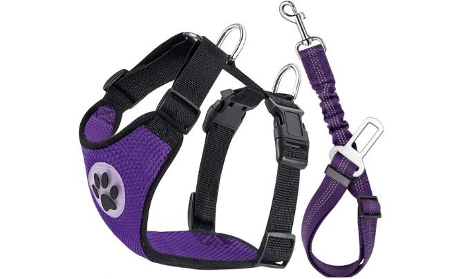 Lukovee Dog Seat Belt Harness Review (2026 Update)