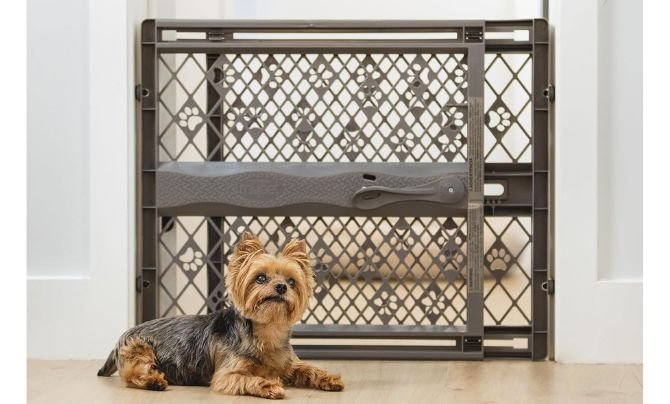 MYPET North States Paws Portable Pet Gate