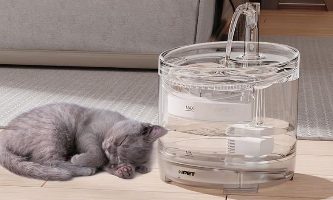 NPET WF050TP Cat & Dog Water Fountain Review
