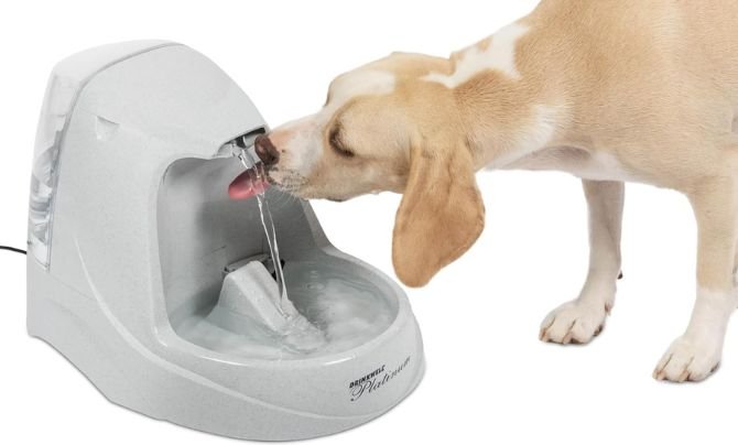 PetSafe Drinkwell Platinum Dog and Cat Water Fountain Review
