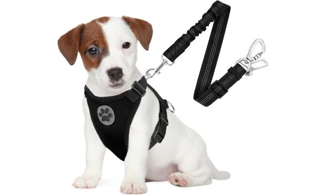 SlowTon Dog Seat Belt Harness Review (2026 Update)
