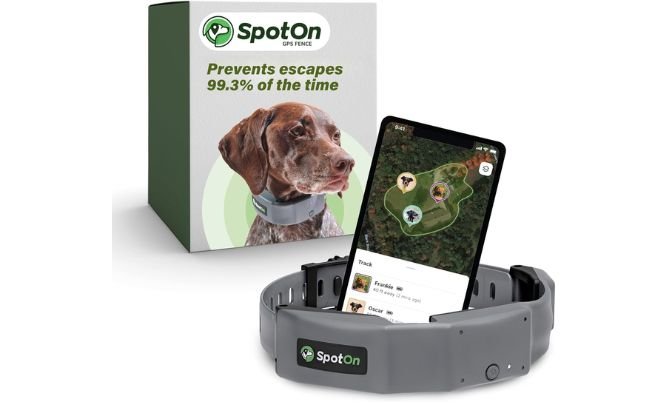 SpotOn GPS Wireless Dog Fence Collar Review