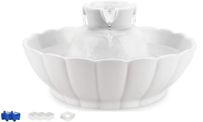 iPettie Tritone Ceramic Pet Water Fountain Review