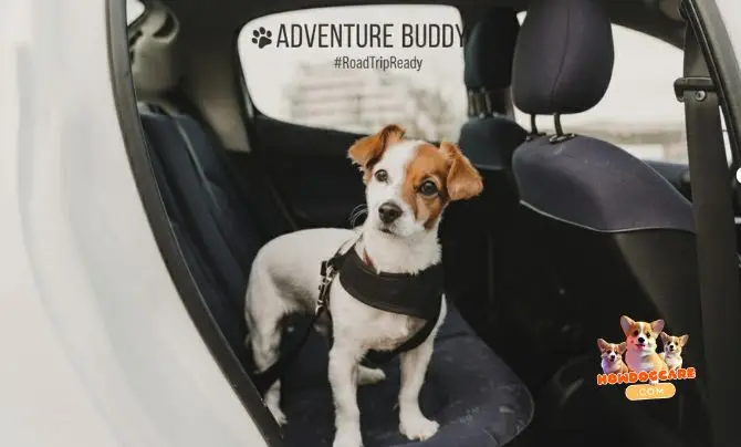 Car Travel Essentials
