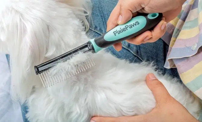 Grooming Supplies - Free Puppy Checklist