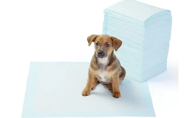 Housebreaking - Free Puppy Checklist