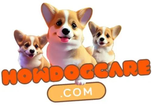 HowDogCare.com