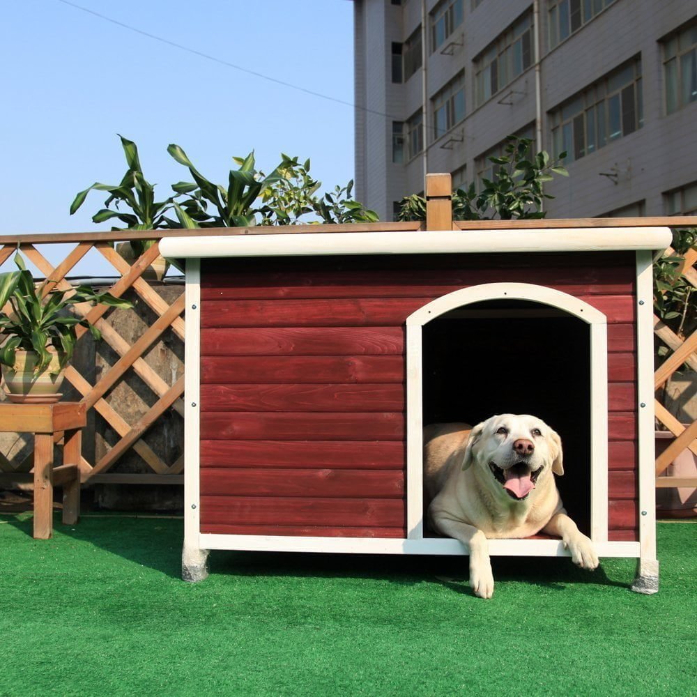 Best Outdoor Plastic Dog Houses Best top care with dogs