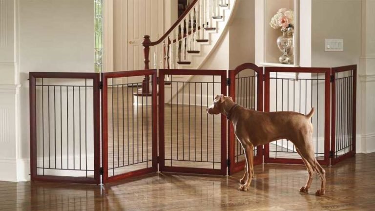 Dog Playpens Are A Must Have For Every Dog Owner