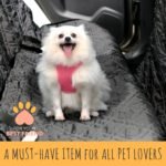 Top 12 Best Dog Seat Cover Reviews - Best top care with dogs