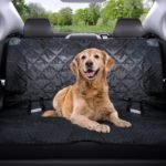 Top 12 Best Dog Seat Cover Reviews - Best top care with dogs