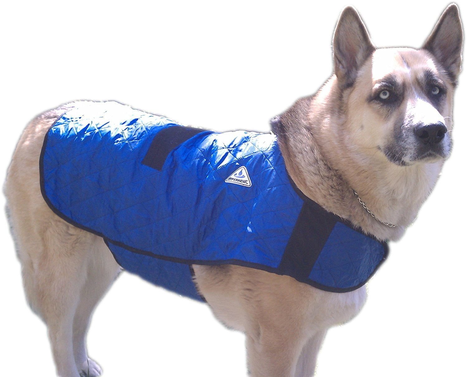 best cooling jacket for dogs