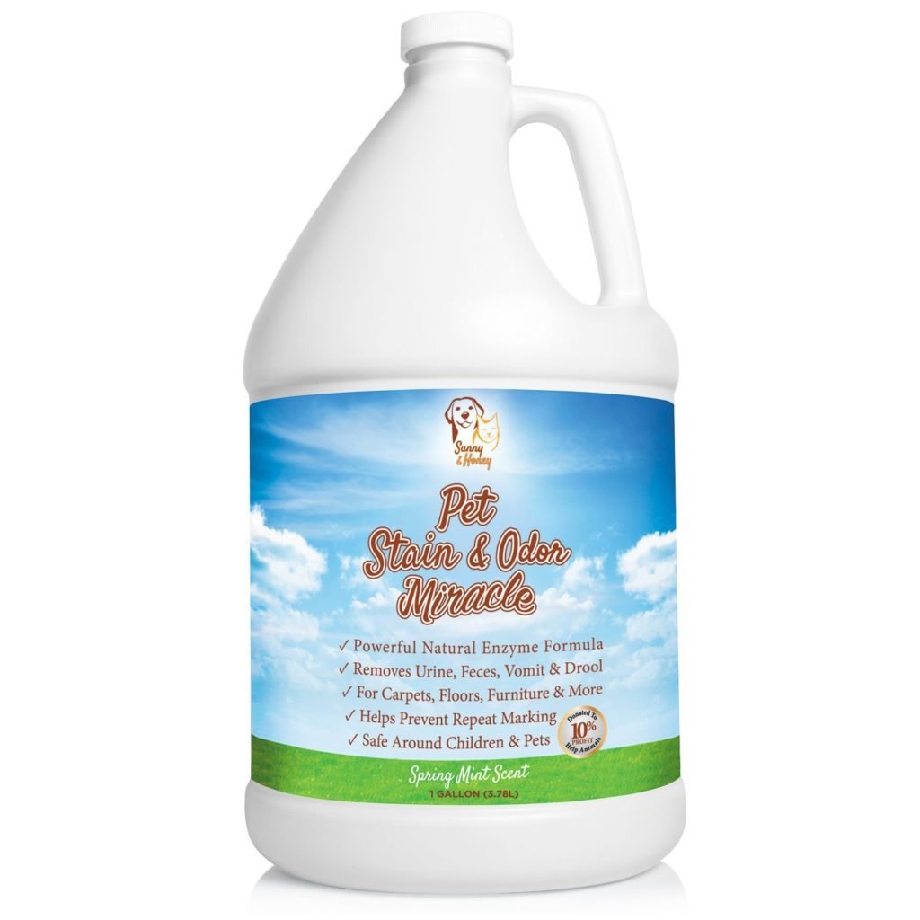 Sunny & Honey Pet Stain & Odor Remover Review: The Enzyme-Powered Solution for the Best Pet Odor Elimination