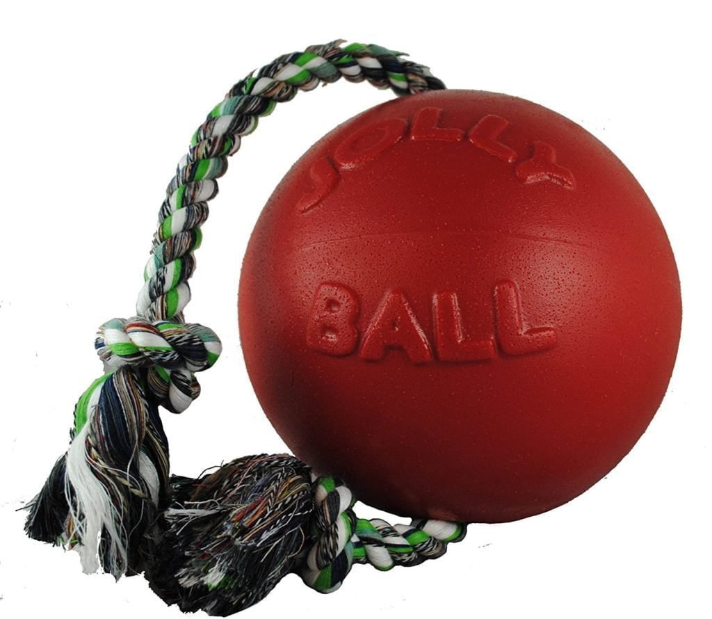 Jolly Pets Romp-n-Roll Rope and Ball Dog Toy Review: Engaging Fun for Energetic Labradors - Durable Rope and Ball Combo